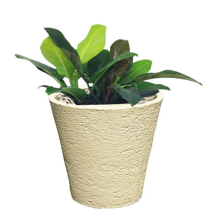 おしゃれ 樹脂製 軽量 植木鉢 新素材ポリストーンライト 外径31cm 高さ29cm ビアス ソリッド アイボリーの画像