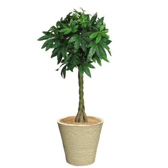 おしゃれ 樹脂製 軽量 植木鉢 新素材ポリストーンライト 外径31cm 高さ29cm ビアス ソリッド アイボリーの画像