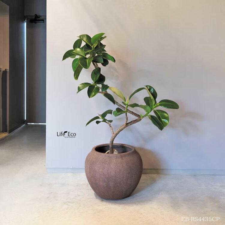 植木鉢 軽量大型 FRP製 ルノ シャロージャー アンティークブラック（黒