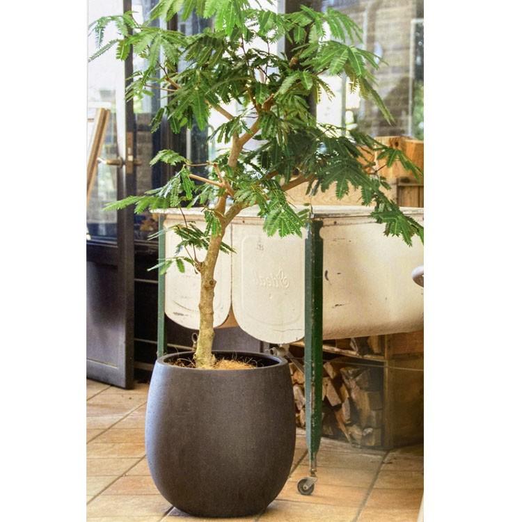植木鉢 ファイバー製 おしゃれ 軽量 テラニアス 55cm バルーン アンティークブラウン 大型の画像