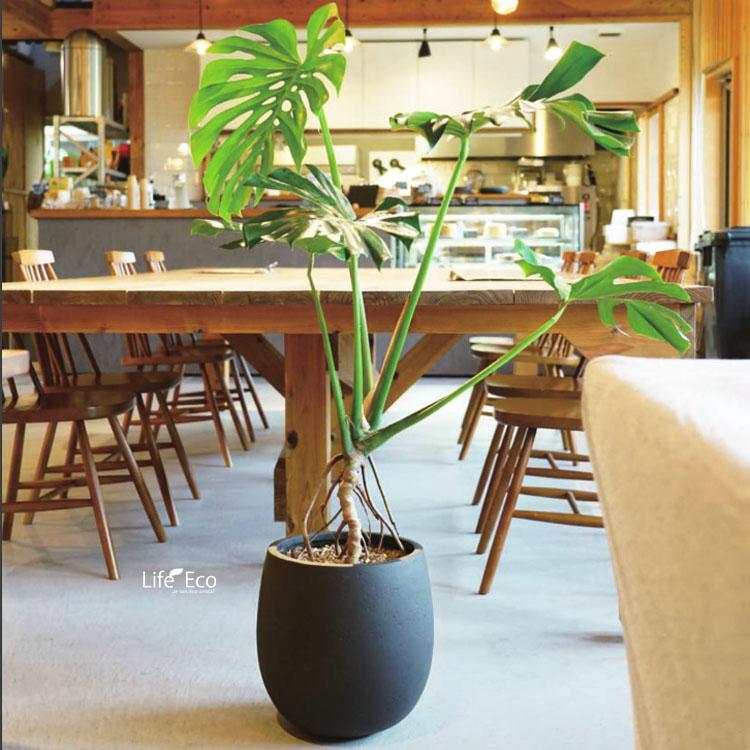 植木鉢 ファイバー製 おしゃれ 軽量 テラニアス 55cm バルーン アンティークブラウン 大型の画像