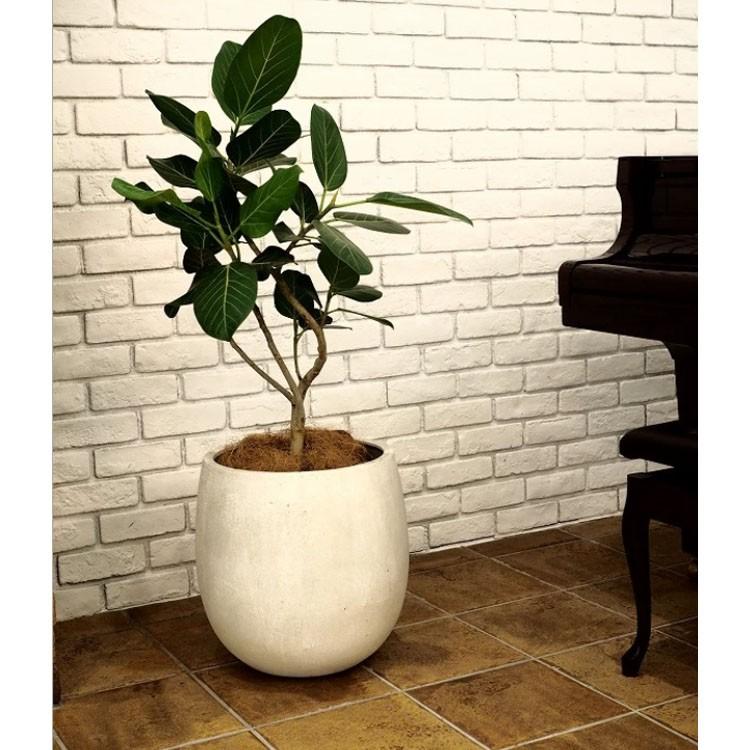 植木鉢 ファイバー製 おしゃれ 軽量 テラニアス 55cm バルーン アンティークホワイト 大型の画像