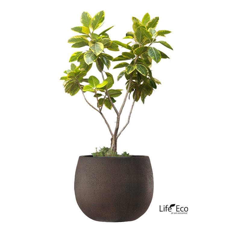 植木鉢 ファイバー製 おしゃれ 軽量 テラニアス 42cm ローバルーン