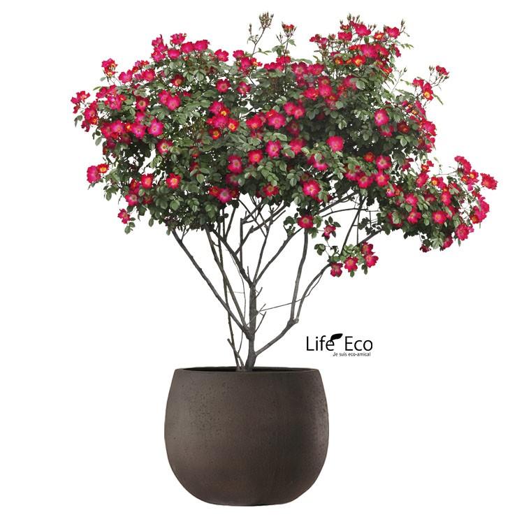 植木鉢 ファイバー製 おしゃれ 軽量 テラニアス 42cm ローバルーン