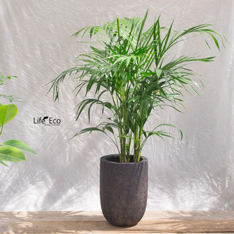美品 植木鉢 軽量 FRP製 ラヴァライト トールラウンド ブラック11号 植木鉢 軽量 FRP製 ラヴァライト トールラウンド ブラック（黒） / φ32