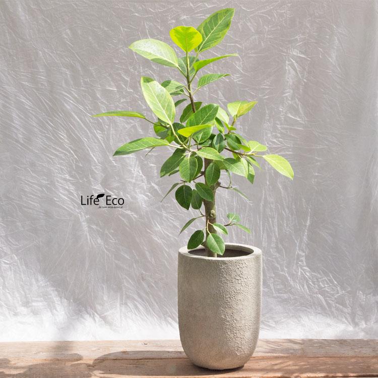 美品 植木鉢 軽量 FRP製 ラヴァライト トールラウンド ブラック11号 楽天市場】植木鉢 軽量 FRP製 ラヴァライト トールラウンド ブラック