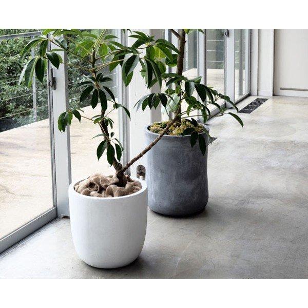 植木鉢 大型 軽量 ファイバークレイ製 バスク 外径43cm ラウンド ホワイトの画像