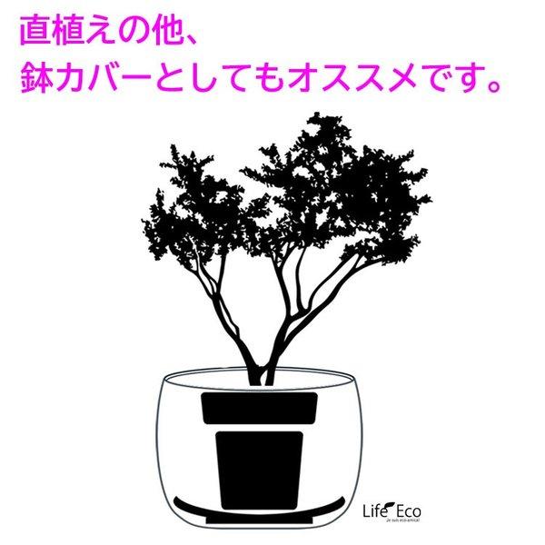 植木鉢 大型 軽量 ファイバークレイ製 バスク 外径43cm ラウンド ホワイトの画像