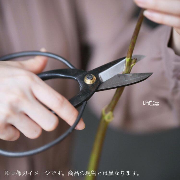 三木章 【左利用】木鋏（キバサミ）特級品 K-17L 180mm / 園芸・植物用