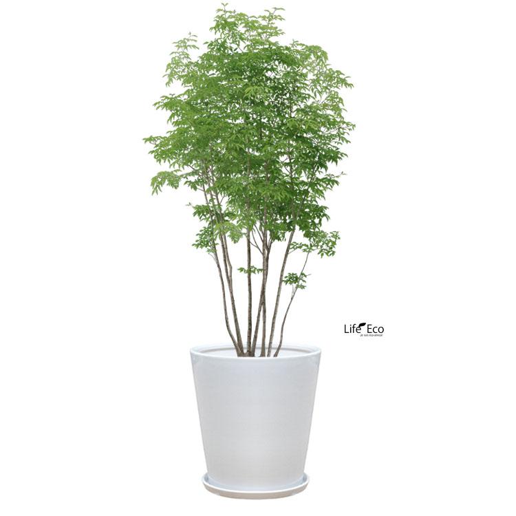 植木鉢 インテリアポット 大型 釉薬陶器製（艶有り・皿付き）SG