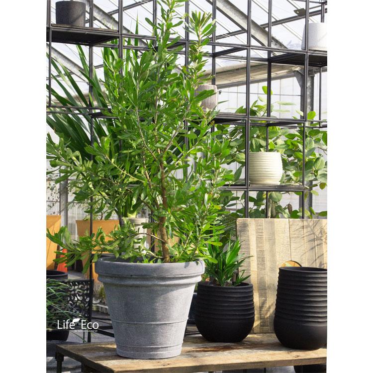樹脂製 軽量植木鉢 ボルドー グレー 外径60cm : ライフエコショップ