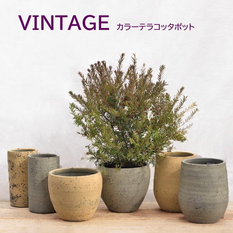 植木鉢 テラコッタ製（素焼き鉢） ビンテージ ハイシリンダー イエロー
