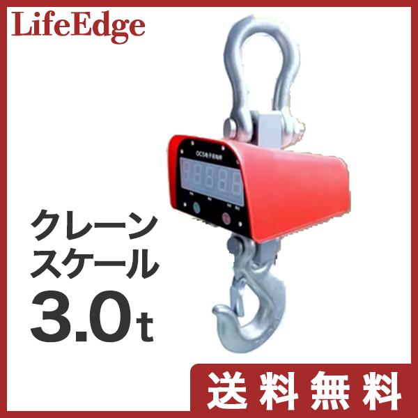 標本 ネプチューンオオカブト美形個体 WF1 大型ネプチューンオオカブト標本