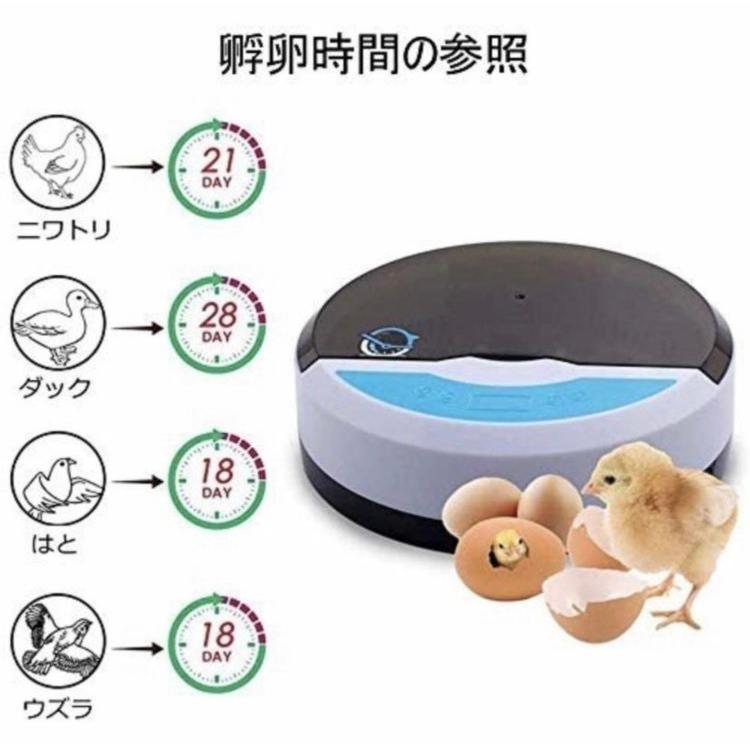 自動孵卵器 インキュベーター 家庭用 小型鳥類専用孵卵器 子供教育用 自由研究 日本語説明書付|life-edge|04