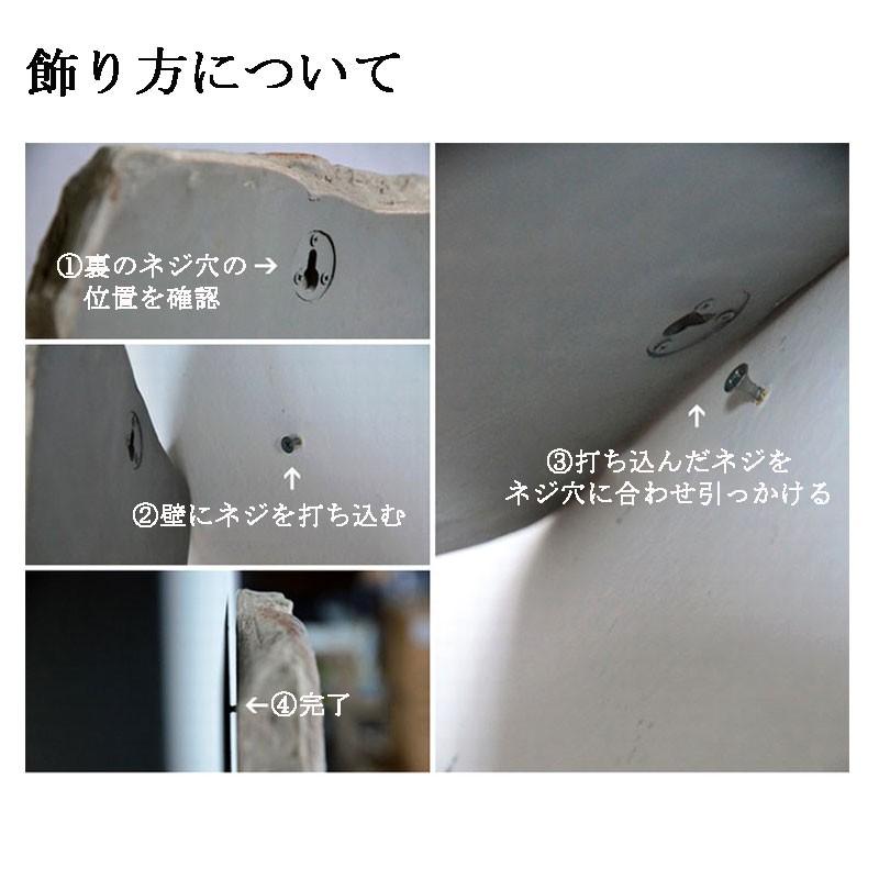 予約販売］【関東限定送料無料】【壁掛け・豪華9点セット】恐竜骨格