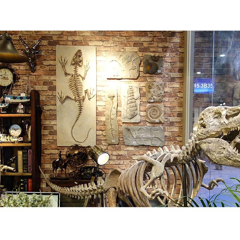 予約販売］【関東限定送料無料】【壁掛け・豪華9点セット】恐竜骨格フィギュア 植物化石 貝化石 :figiyuakk9set:CHIC-Robot  Japan - 通販 - Yahoo!ショッピング