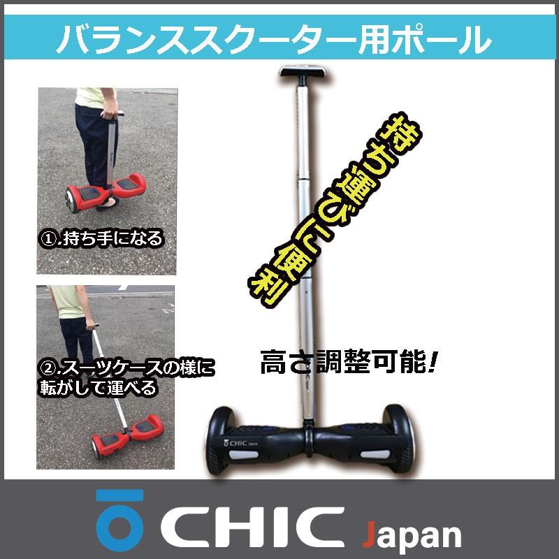 チックスマート D1 チックスマート D1 メタリックゴールド チック