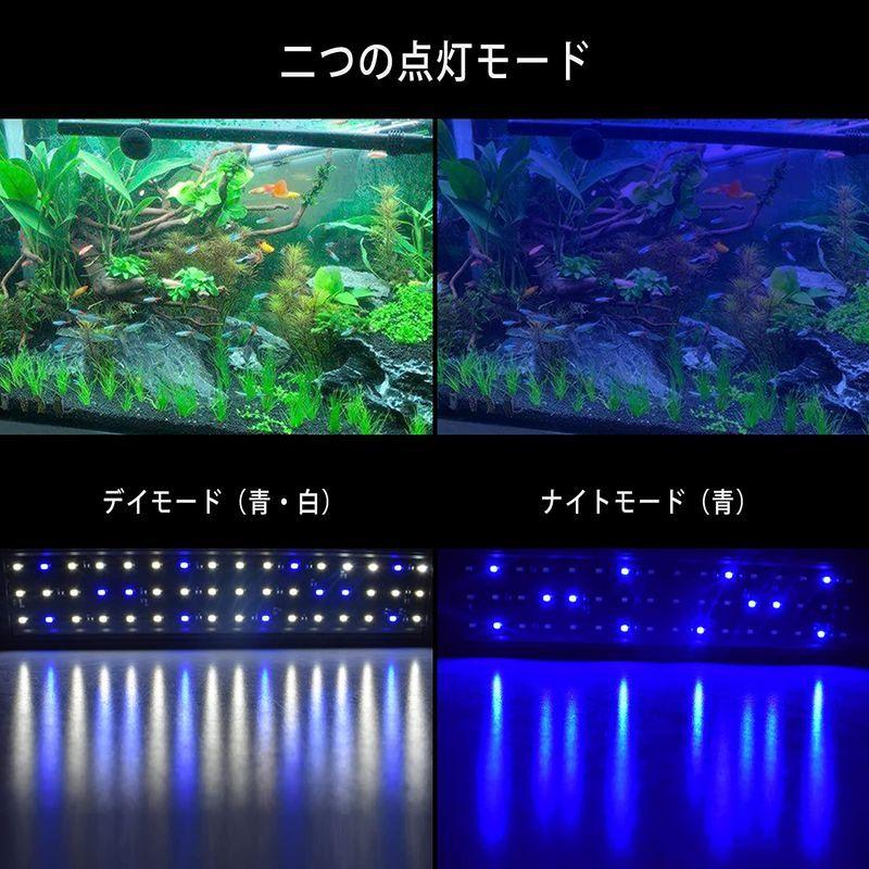 格安saleスタート 水槽用品 Morefulls 水槽ライト Led 水槽照明 50 80cm アクアリウムライト 熱帯魚 2色 青 白 観賞魚飼育 水草育成 防水 調 Www Threeriversofs Com
