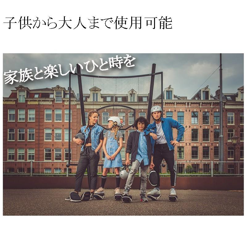 セグウェイ ドリフト W1 segway drift w1 E-Skate 電動 ローラー セグウェイ ドリフト W1 segway drift w1 E-Skate 電動 ローラー