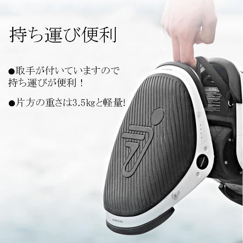 セグウェイ ドリフト W1 segway drift w1 E-Skate 電動 ローラー セグウェイ ドリフト W1 segway drift w1 E-Skate 電動 ローラー