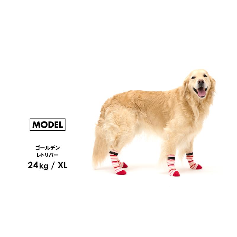 マルチボーダーロングソックスSS-S 犬 靴下 ソックス 犬の靴下 くつ下