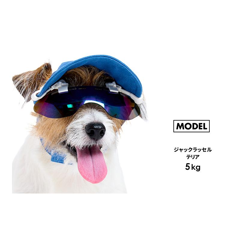 犬 サングラス 取り外し 小型犬 中型犬 散歩 お出かけ ペット 犬 サングラス 取り外し 小型犬 中型犬 散歩 お出かけ ペット
