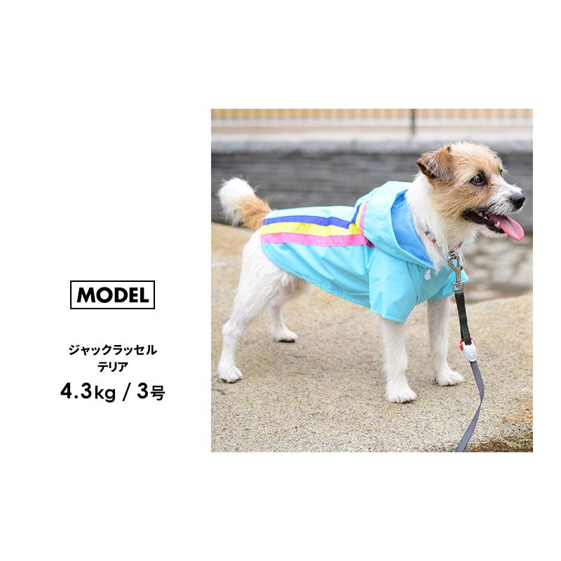 犬服 ストライプ柄 レース襟 クラシック　　男の子用 LIFELIKE（ライフライク） トリコロールレインコート 5-6号 犬 レイン