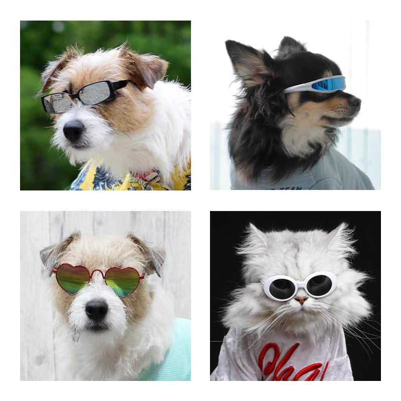 LIFELIKE 【サングラス M】犬 サングラス 眼鏡 D&C 小型犬 中型犬  