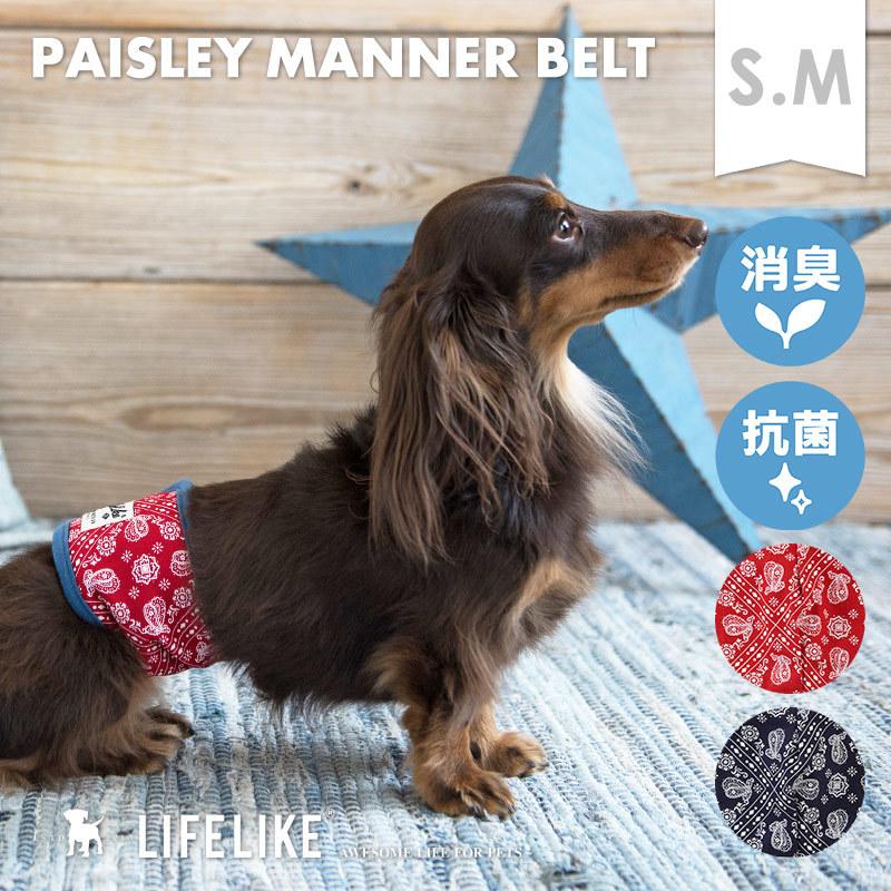 Lifelike 犬 マナーバンド 小型犬 中型犬 大型犬 サイズ ペイズリーマナーベルト S M 71r011 S Lifelike 通販 Yahoo ショッピング