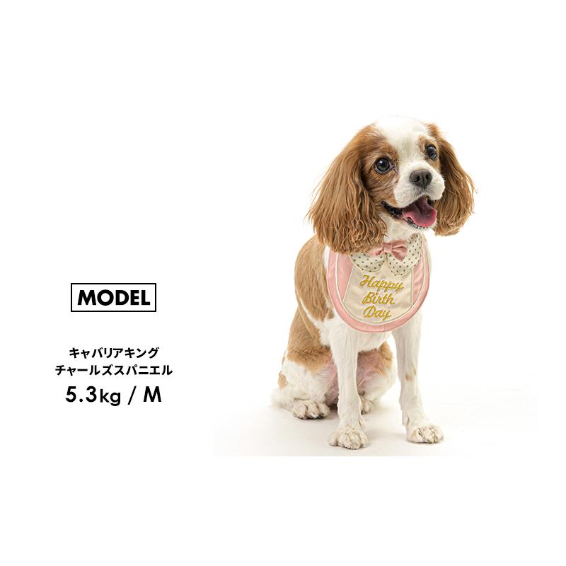 LIFELIKE（ライフライク） プレミアムバースデースタイS スタイ 犬 猫