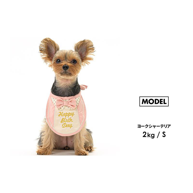 LIFELIKE（ライフライク） プレミアムバースデースタイS スタイ 犬 猫