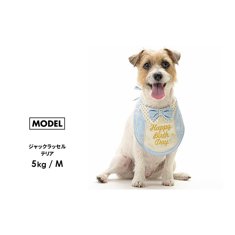 LIFELIKE（ライフライク） プレミアムバースデースタイS スタイ 犬 猫