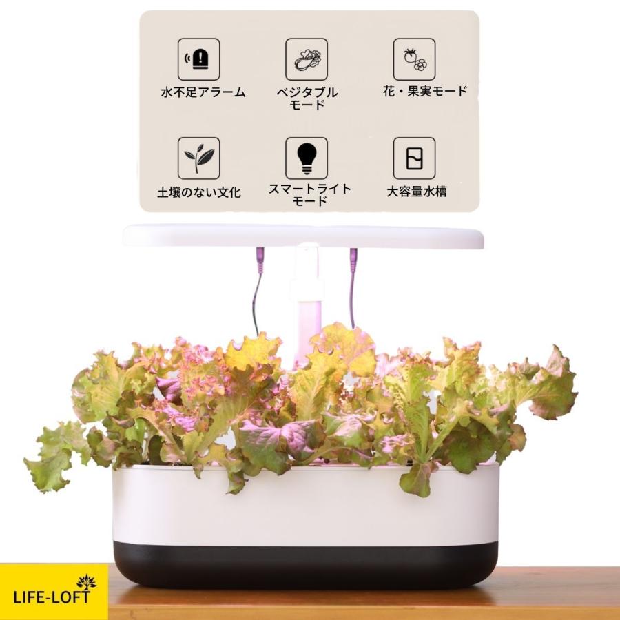 見立て水鉢・笠型 丸型 ガラス 金魚鉢 ボウル メダカ鉢 観葉植物 水培