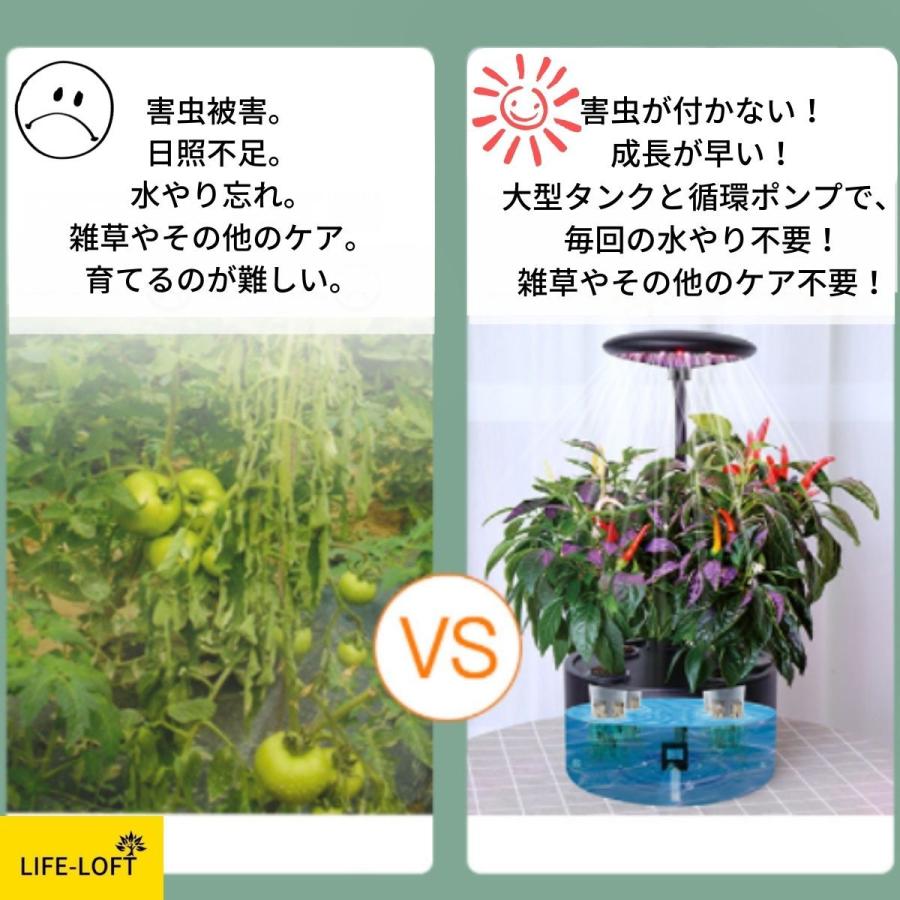 水耕栽培セット 省スペース おしゃれ 鉢形 植木鉢 植物用育成 水耕栽培セット 省スペース おしゃれ 鉢形 植木鉢 植物用育成