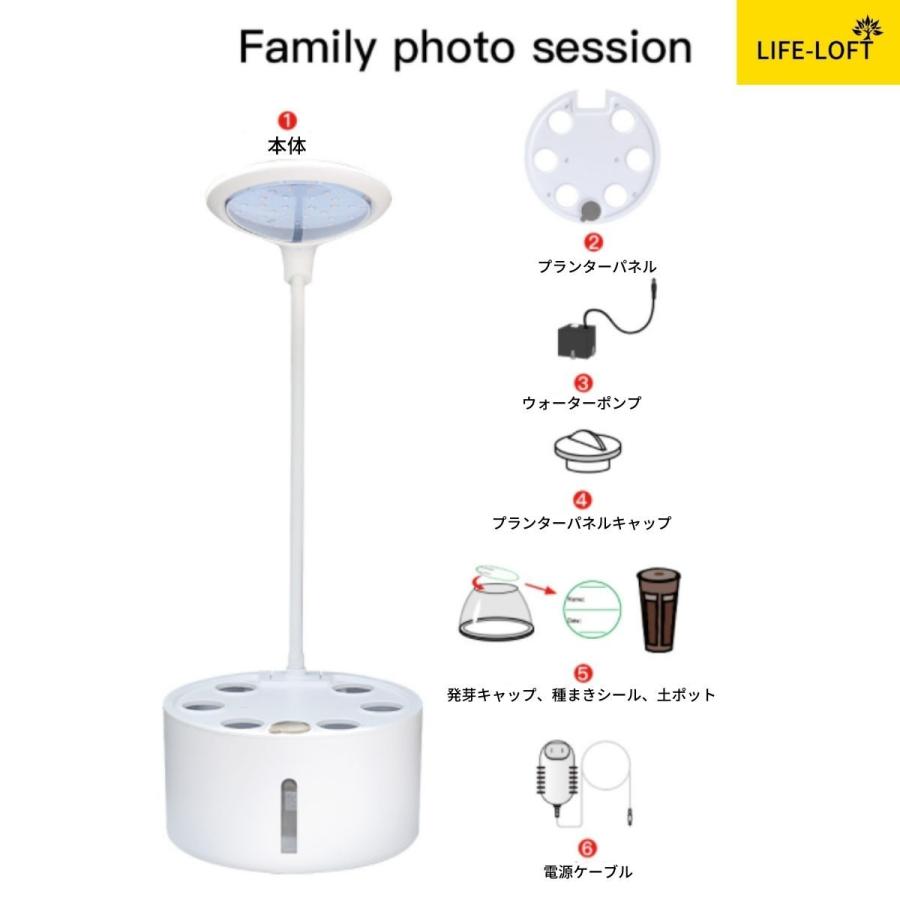 水耕栽培セット 省スペース おしゃれ 鉢形 植木鉢 植物用育成 水耕栽培セット 省スペース おしゃれ 鉢形 植木鉢 植物用育成