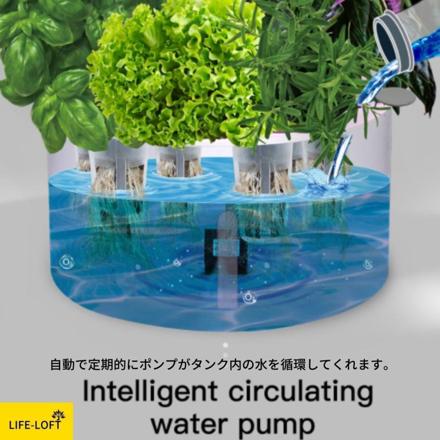 水耕栽培セット 省スペース おしゃれ 鉢形 植木鉢 植物用育成 水耕栽培セット 省スペース おしゃれ 鉢形 植木鉢 植物用育成