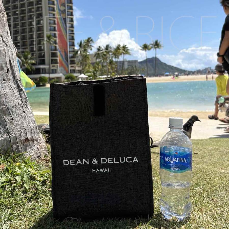 正規品 DEAN&DELUCA カカアコ コウラ店限定 クーラーバッグ COOLER BAG