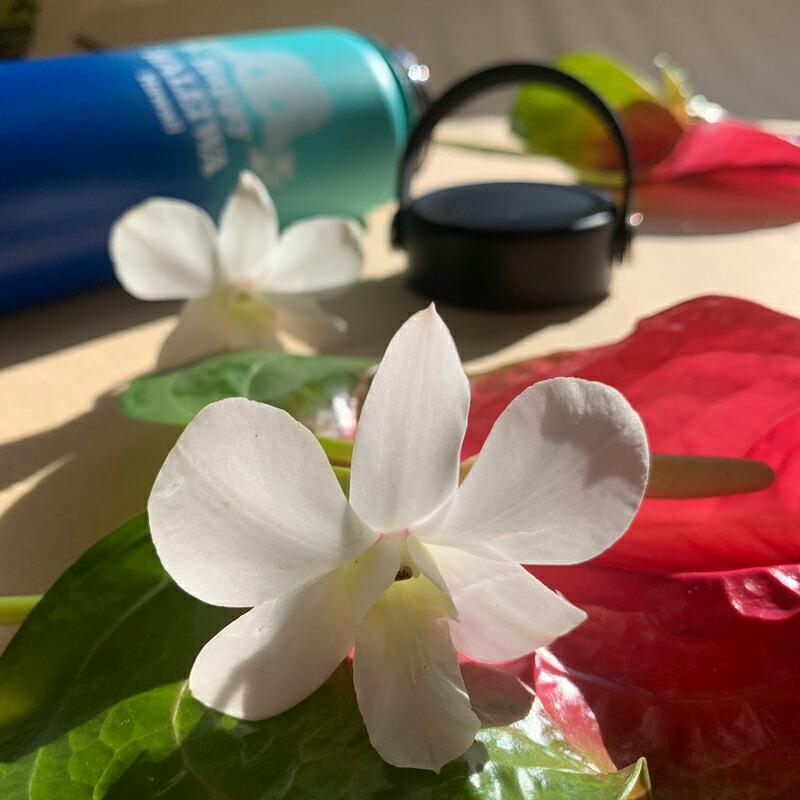 HALEIWA HAPPY MARKET（ハレイワハッピーマーケット） 正規品 Happy