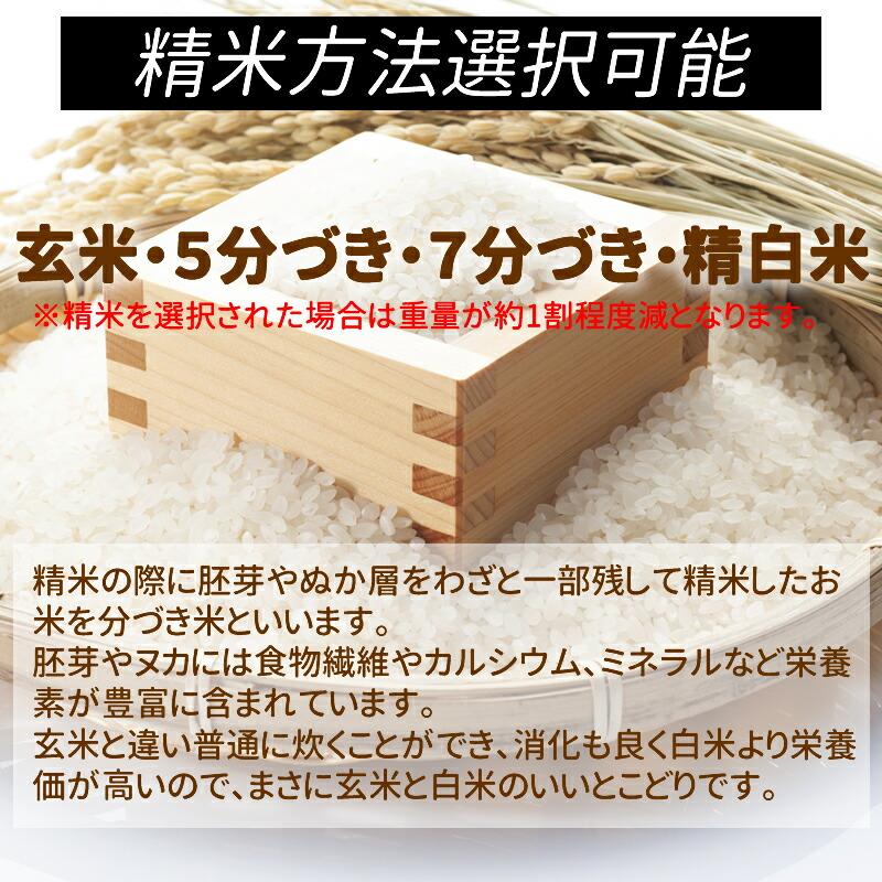 ひとめぼれ ☆新米 お米 米 10kg 令和8年産 送料無料 宮城県産 玄米 5