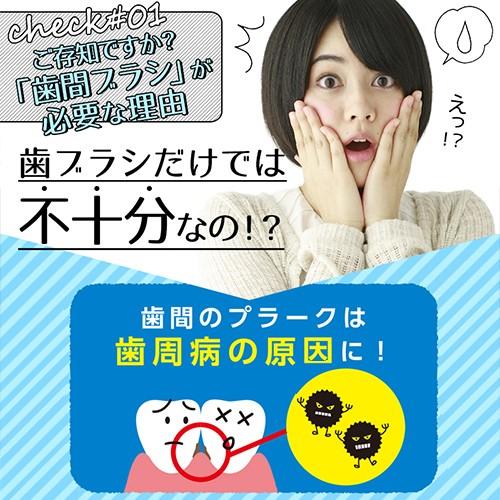 ライオン DENT.EX 歯間ブラシ 院内指導用 40本入】 : ライフナビ