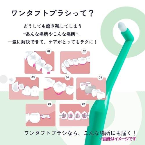 オーラルケア プラウト Plaut 4本】[ネコポス対応商品] : ライフナビ