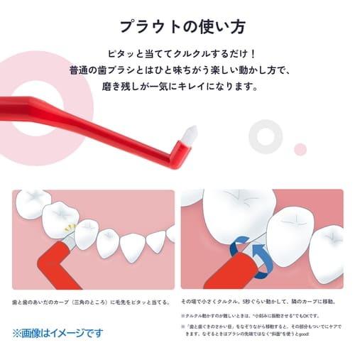 オーラルケア プラウト Plaut 4本】[ネコポス対応商品] : ライフナビ