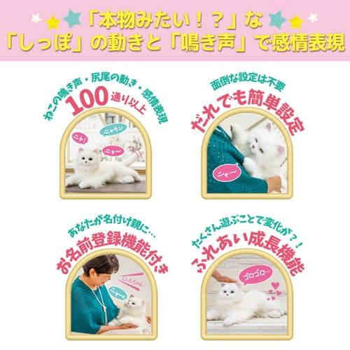 しっぽふりふり あまえんぼうねこちゃん アイスグレー】 : ライフナビ