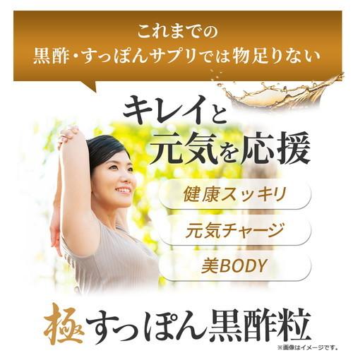 Royal BS 極・すっぽん黒酢粒 約3ヶ月分 90粒 公式 サプリ スッポン 黒