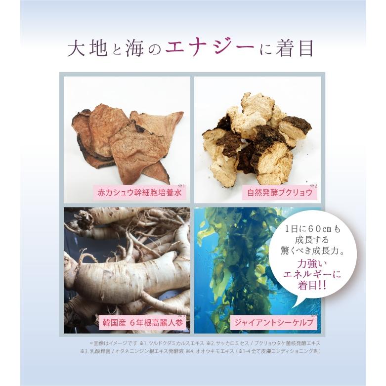 サイムダン プレミアム モイスチャー パーフェクトRichクリーム 美容クリーム Amazon | サイムダン プレミアム ステム モイスチャー