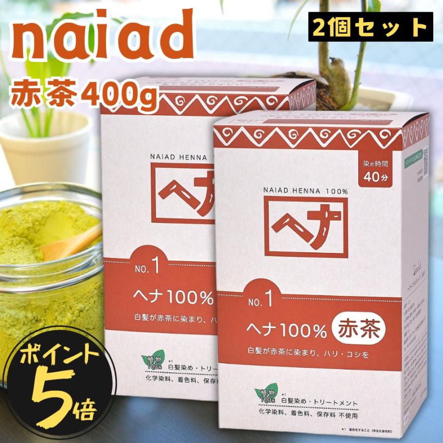 村山輝記採集・製作クワガタ標本 2019年 No.184 昆虫用品 村山輝記採集・製作クワガタ標本 2019年 No.184