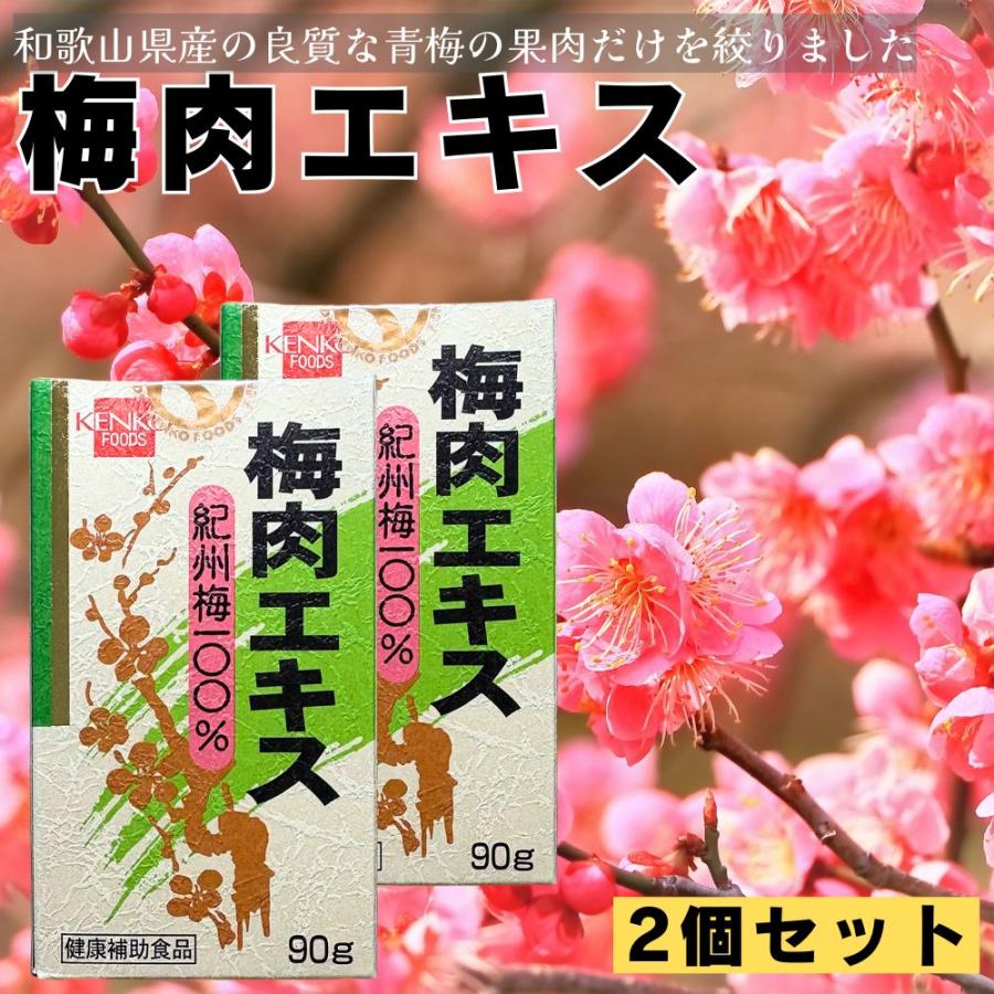健康フーズ (2個セット) 梅肉エキス 90g×2 紀州梅100% 青梅 和歌山県
