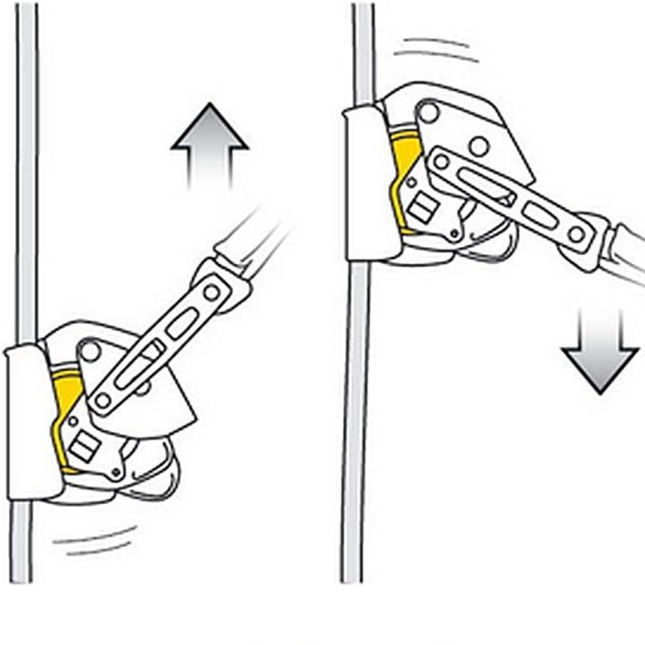 PETZL ペツル アサップ ロック ASAP LOCK 日本語説明書付き (並行輸入 