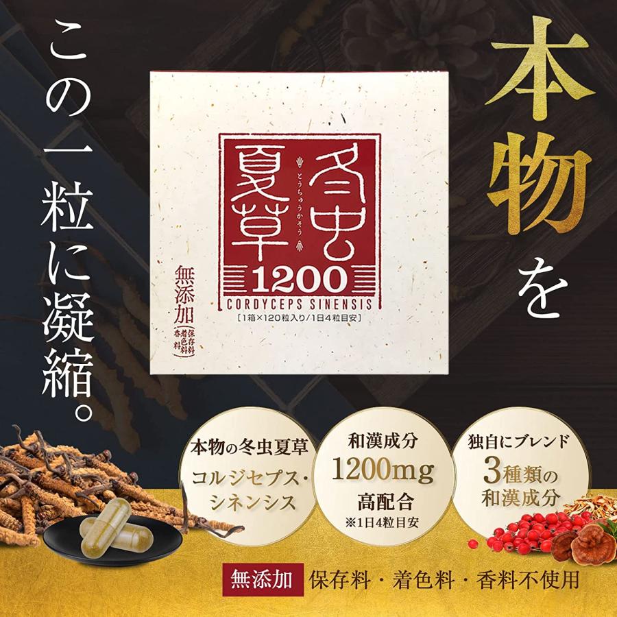 冬虫夏草 最高級品 天草 子実体高含有、衛生的 国内産