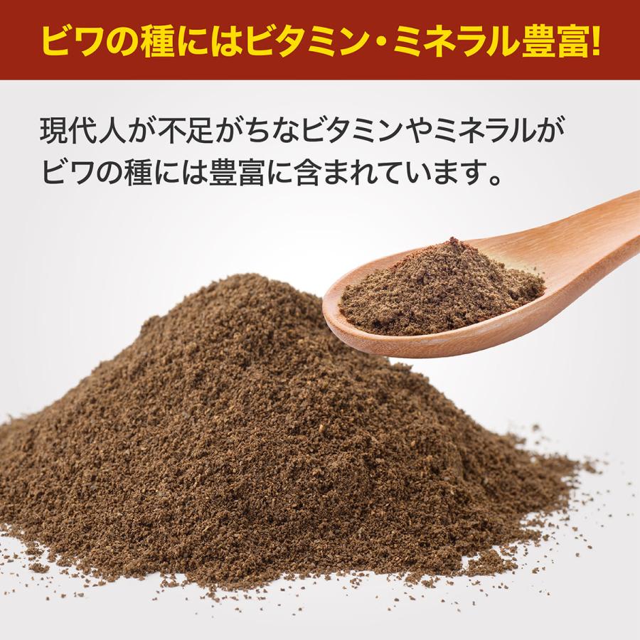 枇杷種粉末 (3袋セット) 国内産原料100%使用 100g びわ ビワ 枇杷種粉末 (3袋セット) 国内産原料100%使用 100g びわ ビワ